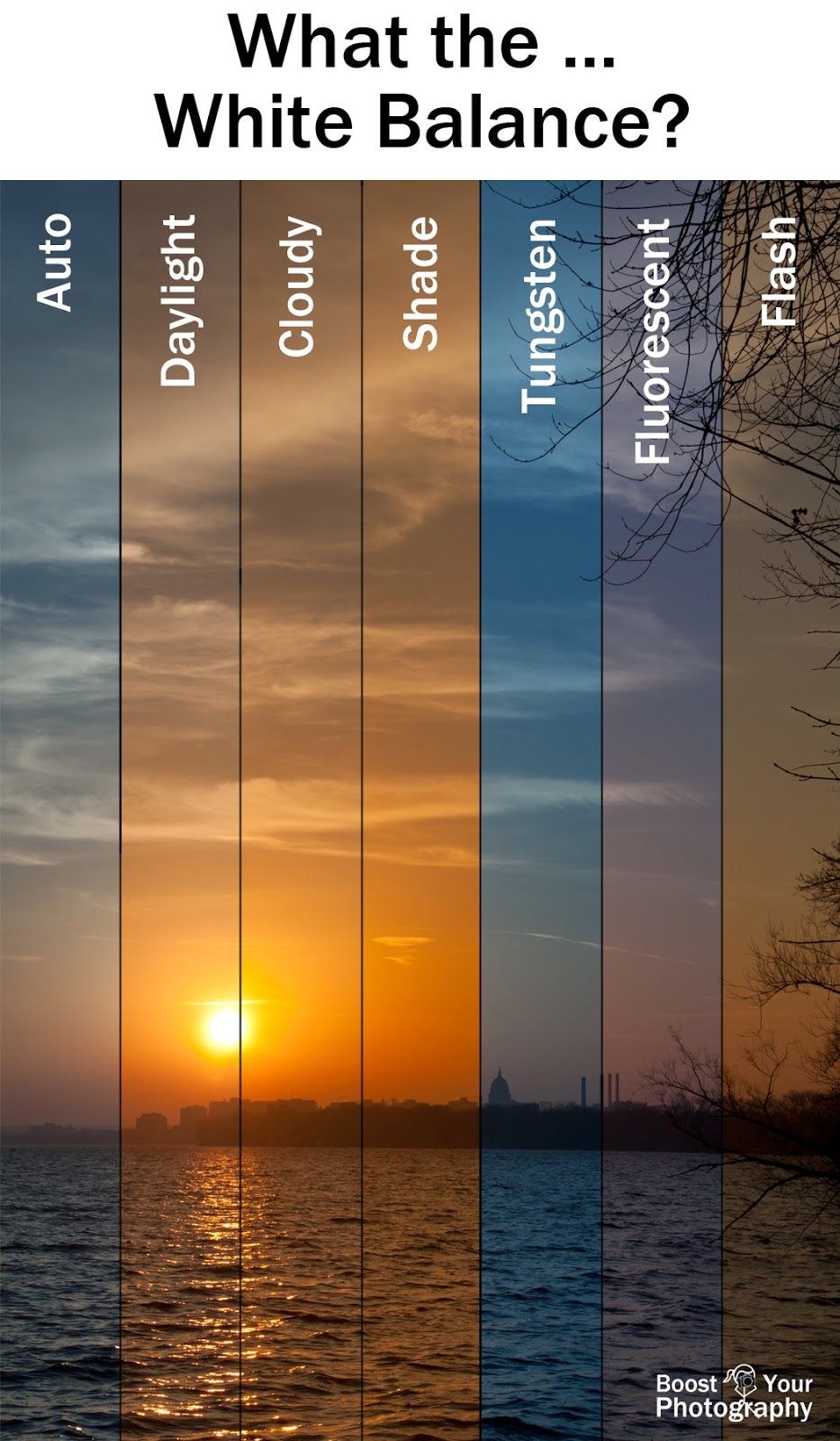 understanding white balance in photography