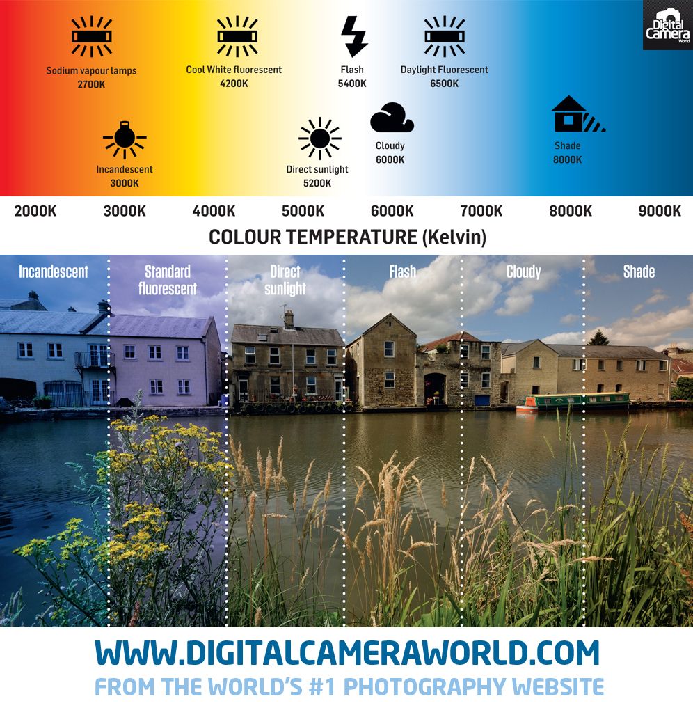 understanding white balance in photography